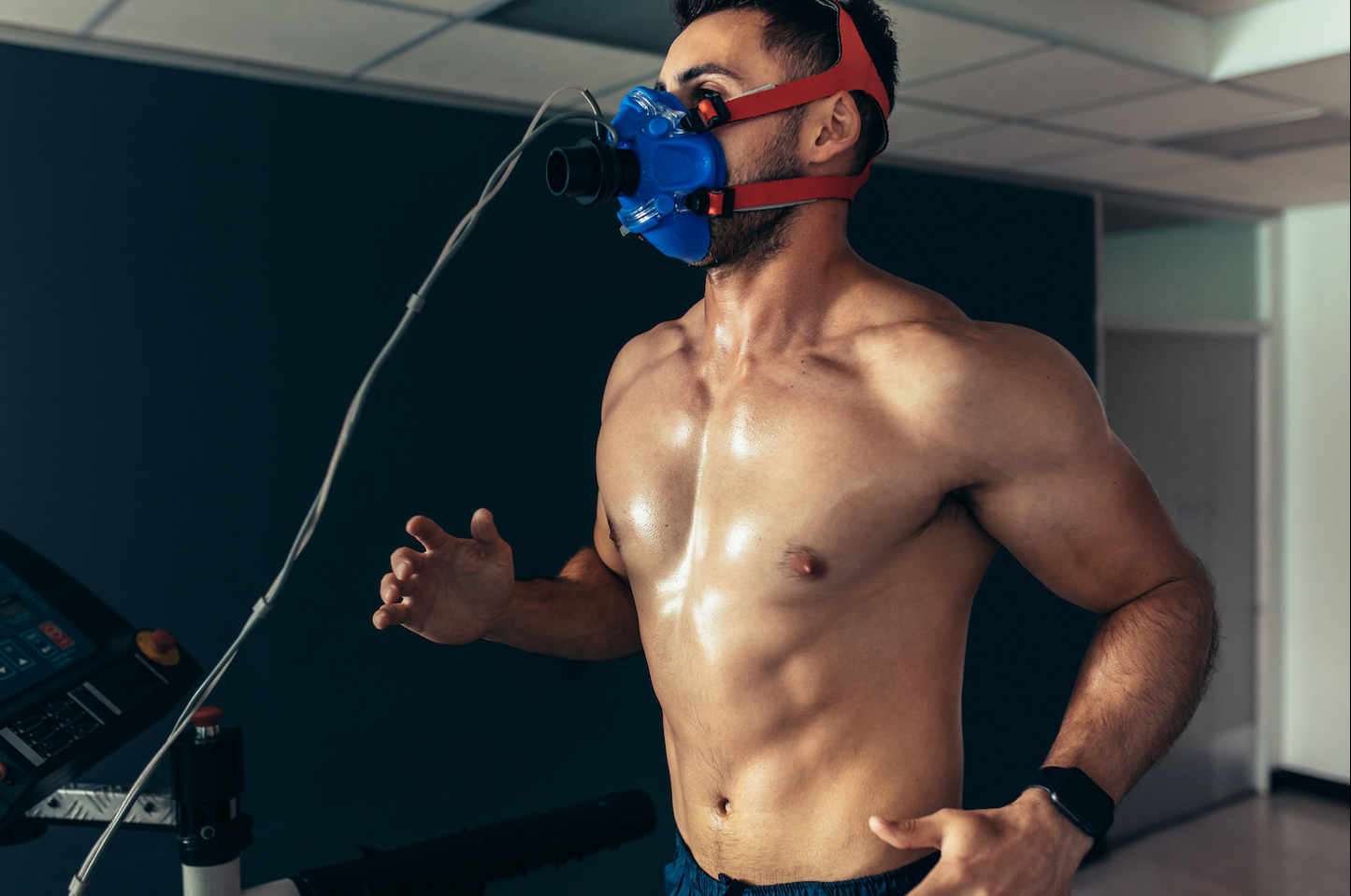 VO2 MAX / RMR